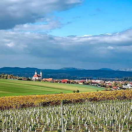 Vinařství Obelisk Alojamento de Acomodação e Pequeno-almoço 4*